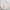 Tea Time Whimsy 9 in. Premium Paper Plates - Pink (Set of 16)