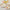 Floral Brunch Party Tableware Set