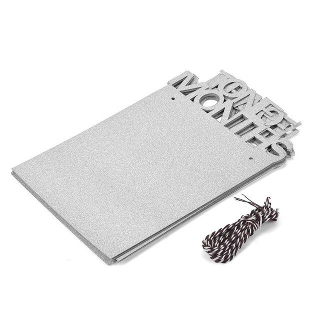 Baby Milestone Photo Banner (Silver or Blue)