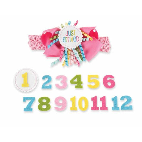Monthly Milestones Headband