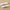 Personalized Lip Balm - Tutu Cute (Set of 12)