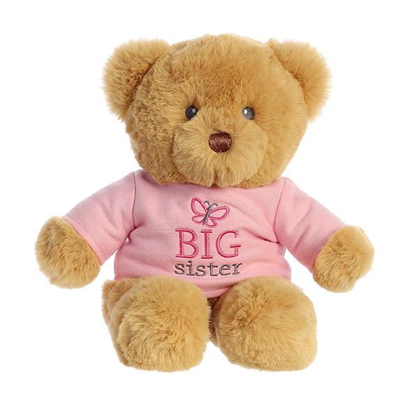 Big Brother or Big Sister Teddy Bear