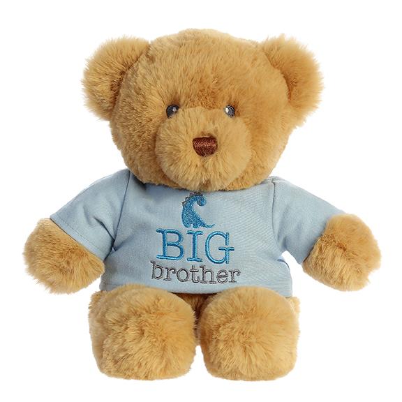 Big Brother or Big Sister Teddy Bear