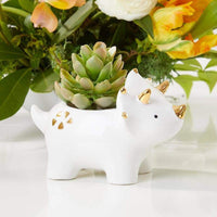 Thumbnail for Dinosaur Ceramic Planter