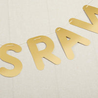 Thumbnail for Dino Party Banner (Set of 2)