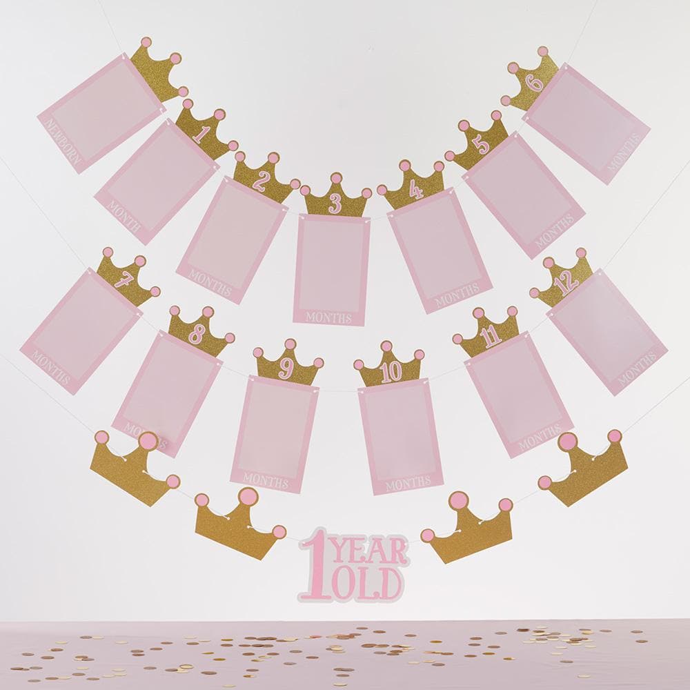 1st Birthday Milestone Photo Banner & Cake Topper - Princess Party