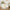 Woodland Baby Décor Sign Kit (Set of 8)
