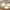 Woodland Baby 7 in. Premium Paper Plates (Set of 16)