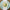 Botanical Garden 7 in. Premium Paper Plates (Set of 16)