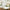 Botanical Garden 9 in. Premium Paper Plates (Set of 16)