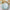 Beach Party 7 in. Premium Paper Plates (Set of 16)