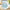 Beach Party 7 in. Premium Paper Plates (Set of 16)