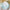 Beach Party 9 in. Premium Paper Plates (Set of 16)