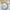 Beach Party 9 in. Premium Paper Plates (Set of 16)