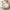Elephant Baby Shower 7 in. Premium Paper Plates (Set of 16)