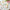 Tea Time Whimsy 9 in. Premium Paper Plates - Blue (Set of 16)