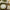 Safari Baby 9 in. Premium Paper Plates (Set of 16)