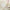 Boho Rainbow Baby 9 in. Premium Paper Plates (Set of 16)
