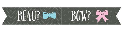 Personalized "Gender Reveal" Party Flags