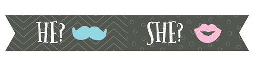 Personalized "Gender Reveal" Party Flags