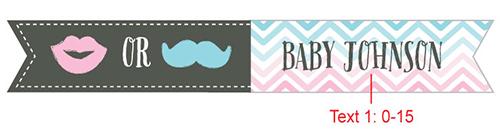 Personalized "Gender Reveal" Party Flags