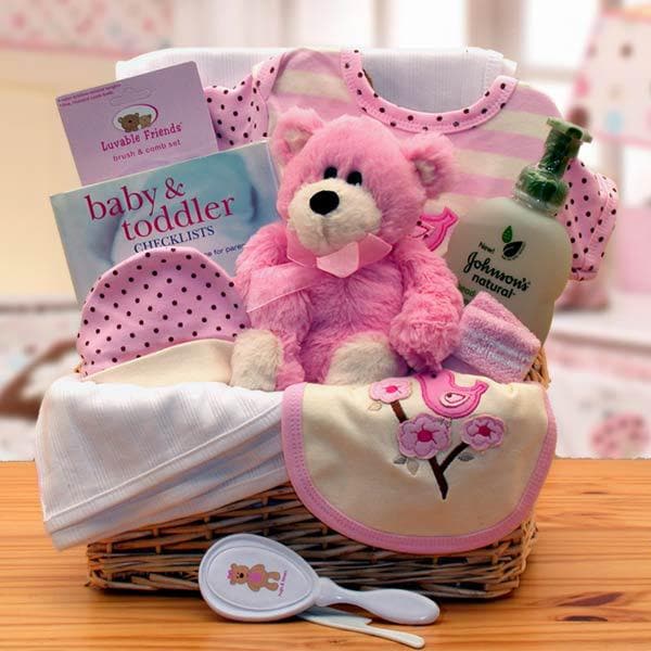 Organic Baby Girl Gift Basket - Pink