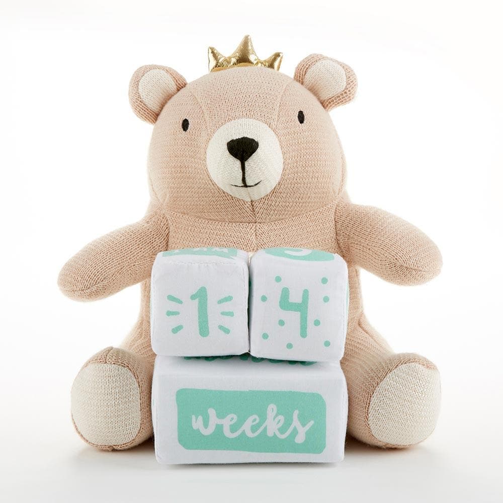 My First Milestone Brown Bear Plush Plus Baby Age Blocks