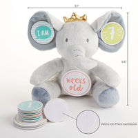 Thumbnail for My First Elephant Plush Plus Baby Milestone Markers