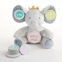 Thumbnail for My First Elephant Plush Plus Baby Milestone Markers