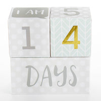 Thumbnail for My First Milestone Baby Age Blocks