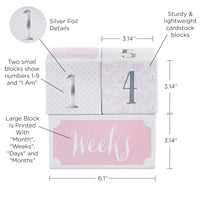 Thumbnail for My First Milestone Little Princess Baby Age Blocks