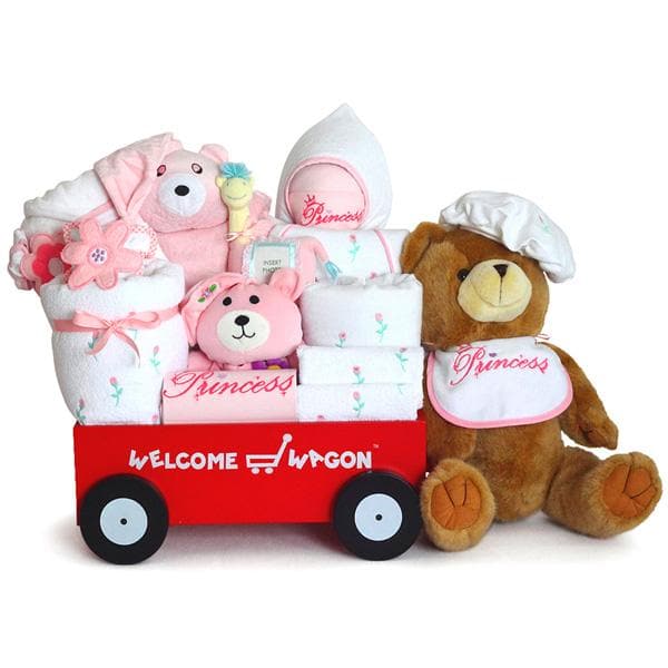 Super Deluxe Bear Baby Girl Welcome Wagon