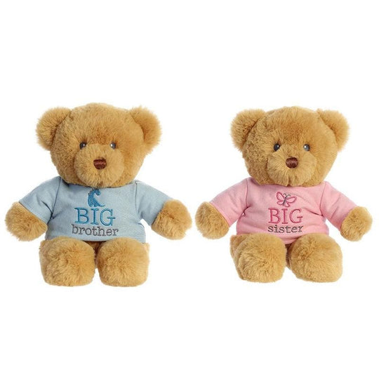 Big Brother or Big Sister Teddy Bear