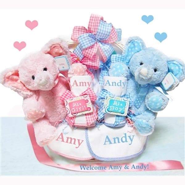 Personalized Double The Blessings Twins Baby Gift Basket