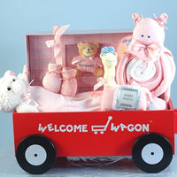 Thumbnail for Forever Baby Welcome Wagon - Girl