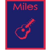 Thumbnail for Personalized Acrylic Stroller Blanket with One Guitar (Many Colors Available)